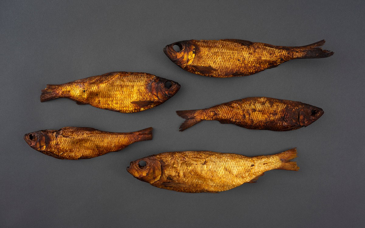 Preserved fish in a golden color