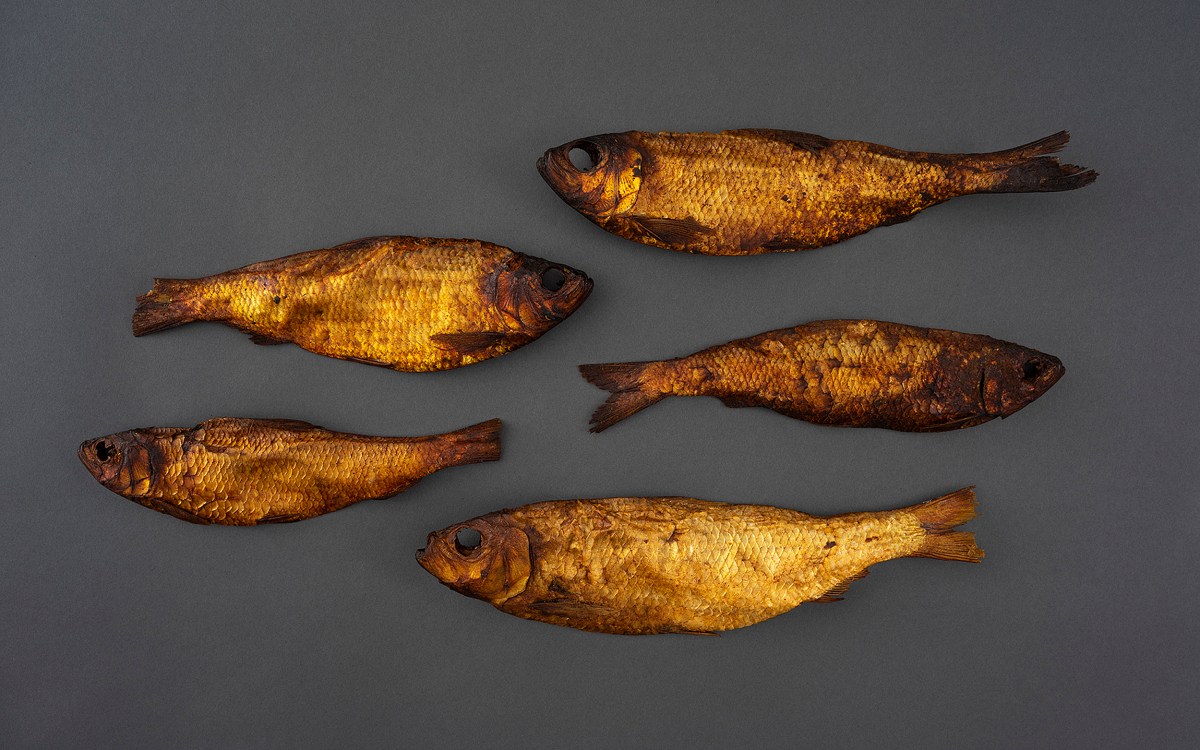 Preserved fish in a golden color