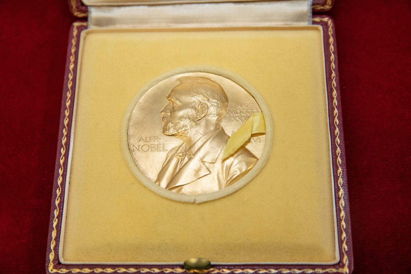 Photo of a Nobel Prize medal