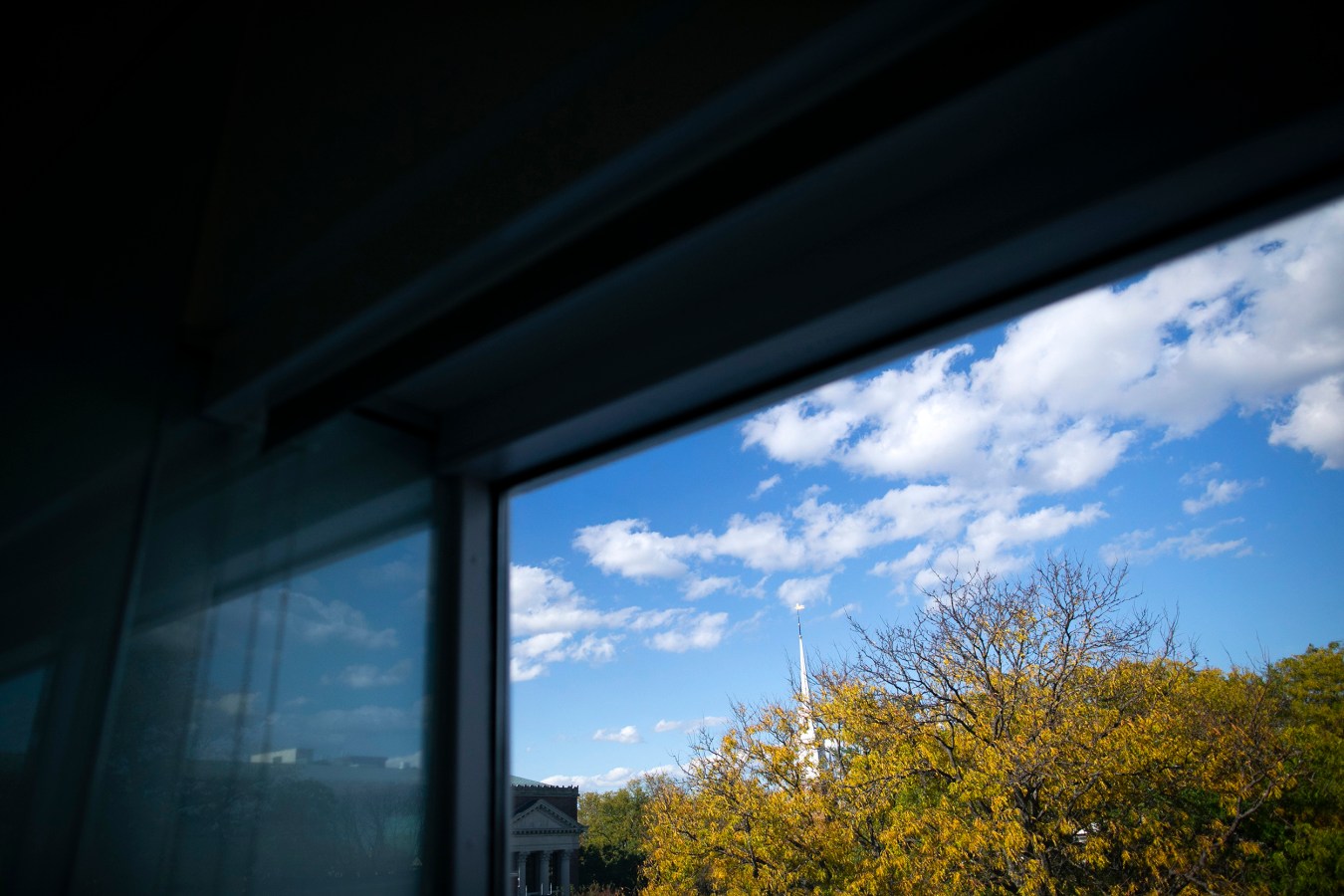 The view from the top floor of Lamont Library of Harvard Yard from above the treetops is pictured.