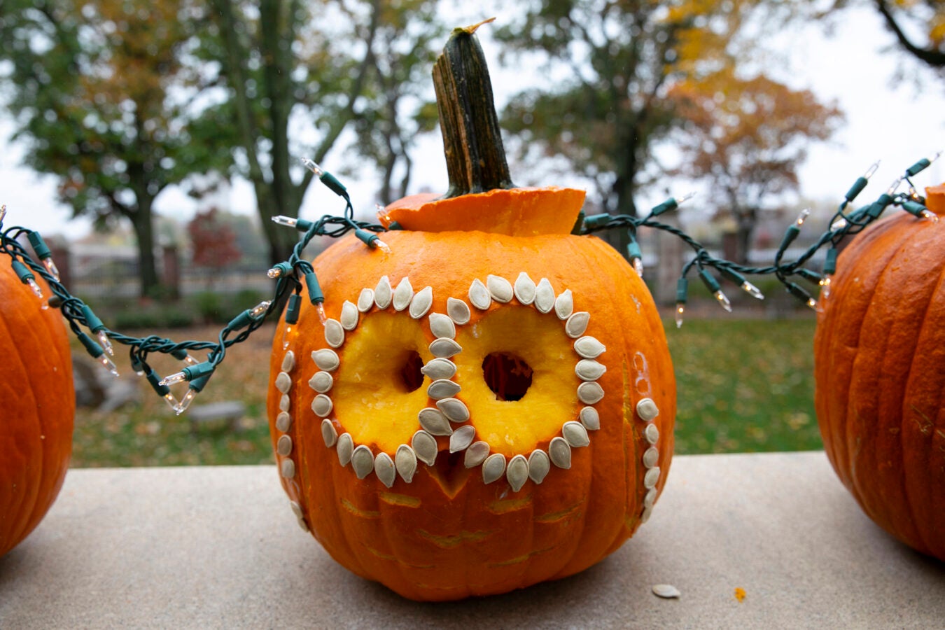 A pumpkin decorated with pumpkin seeds is on display outside of Winthrop House.