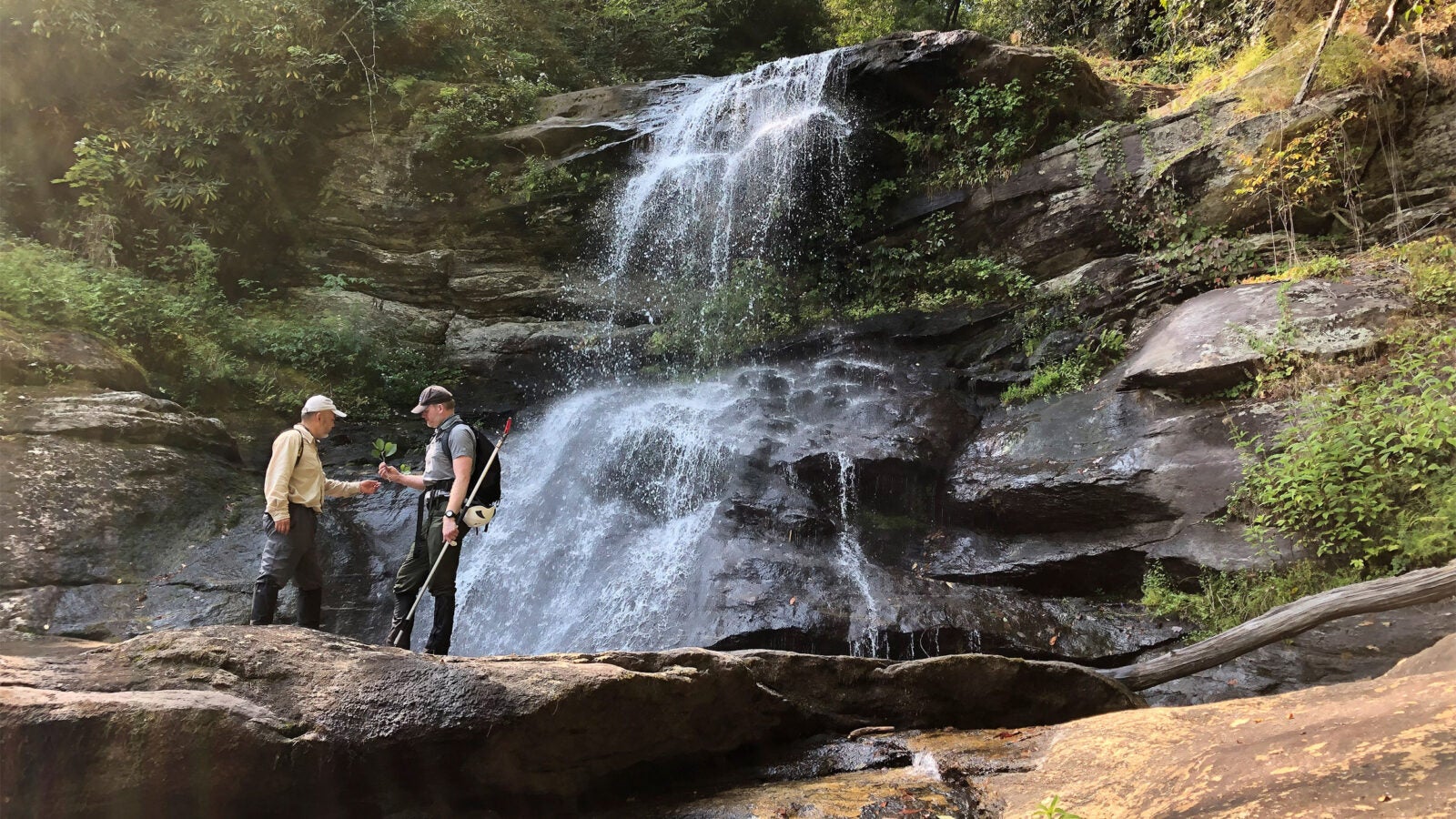 Holcomb Creek Falls in Chattahoochee National Forest in Rabun County, Georgia.