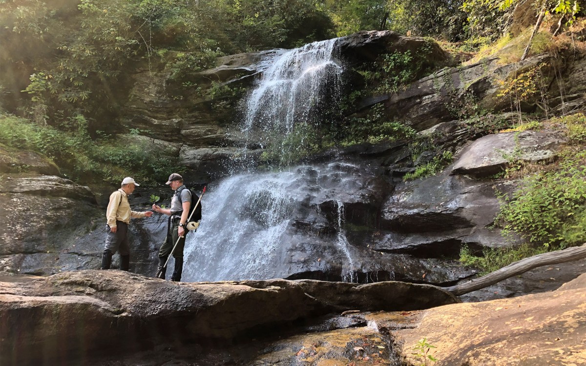 Holcomb Creek Falls in Chattahoochee National Forest in Rabun County, Georgia.