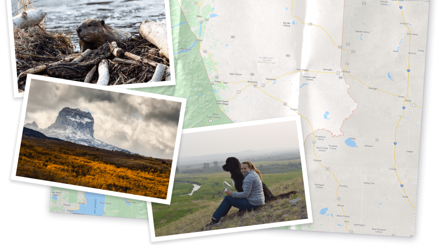 A collage of pictures of Montana, a beaver, and Jordan sitting on a hill with her dog
