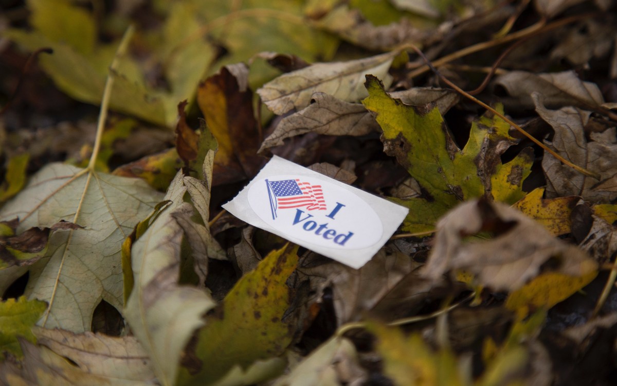 I voted sticker on leaves.