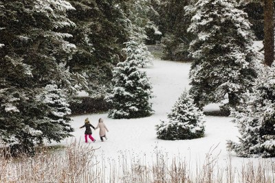 Valentina Iacobciuc and Elena Fevraleva frolic in the Conifer Collection at the Arnold Arboretum.