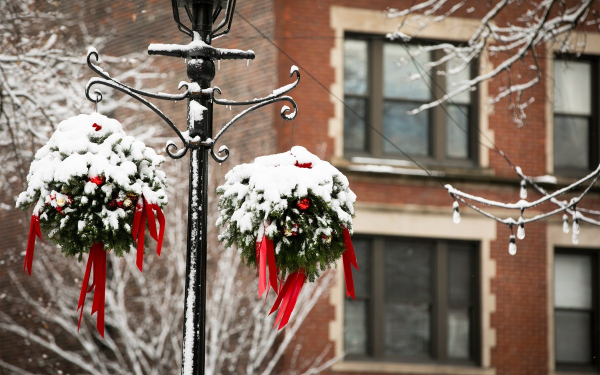 Snow on wreaths.