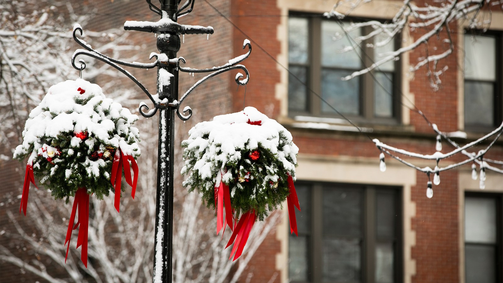 Harvard Students Talk About The Holidays And End Of The Year