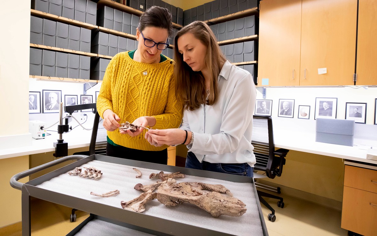 Katrina Jones and Stephanie Pierce examining animal bones.