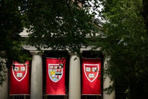 Veritas flags hanging at Harvard's Memorial Church.