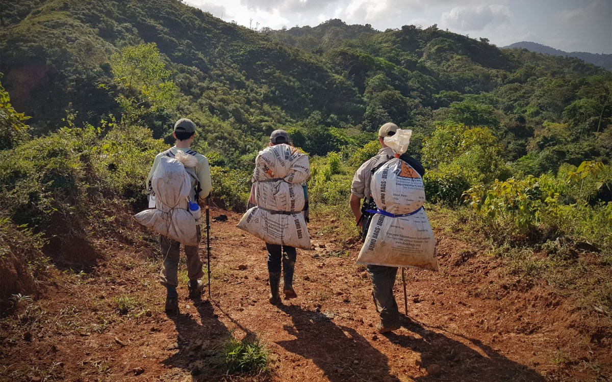 Men walking with collection bags.