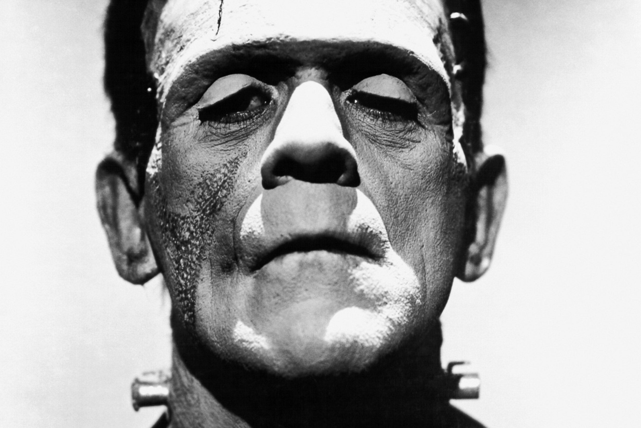 Frankenstein photo.