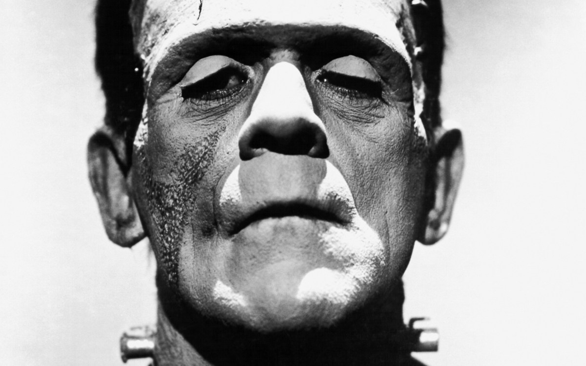 Frankenstein photo.