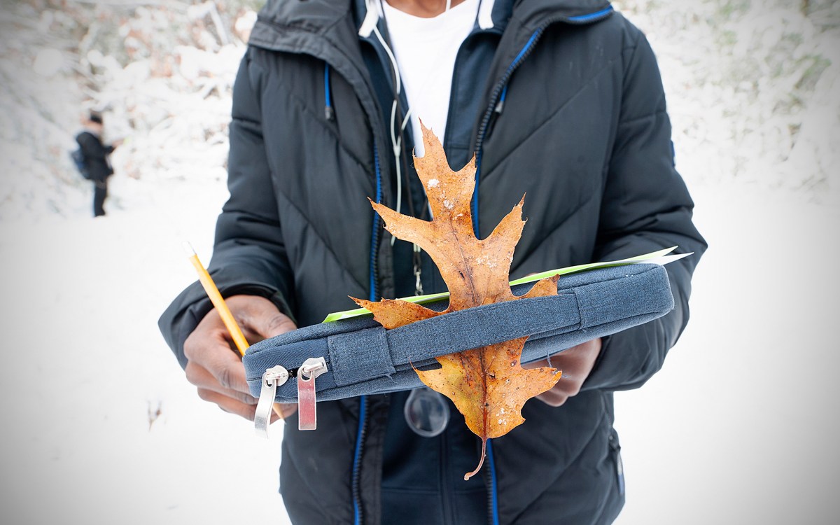 Leaf in student's folder.