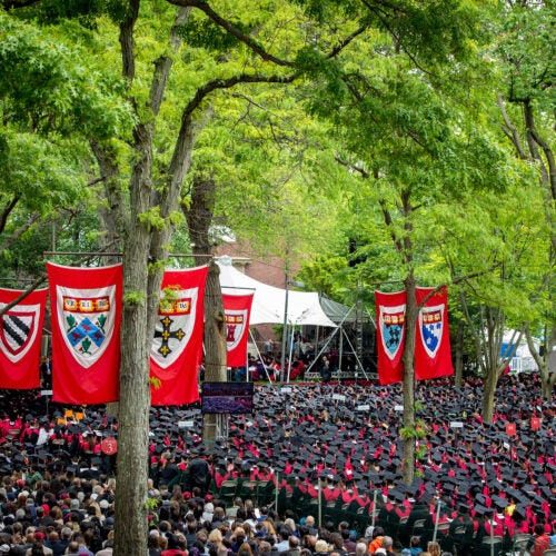 Harvard Yard during Commencement.