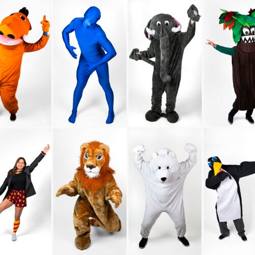All twelve House mascots are pictured in costume striking a pose.