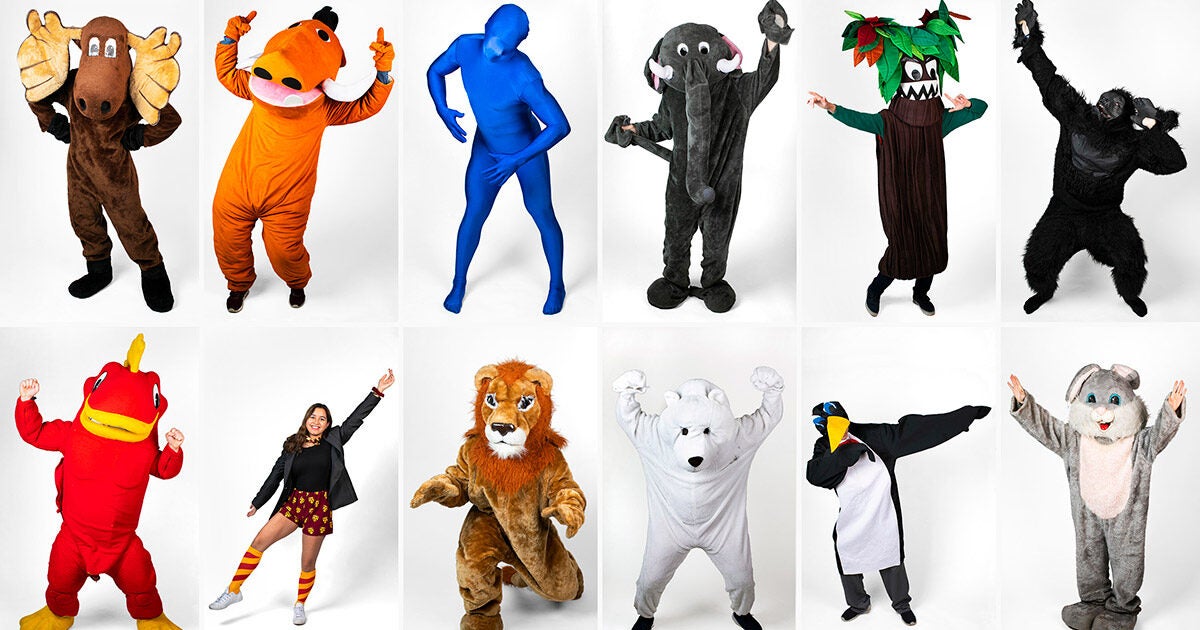 A definitive guide to Harvard's Housing Day mascots – Harvard ...
