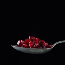 New class of enzymes could lead to bespoke diets, therapeutics