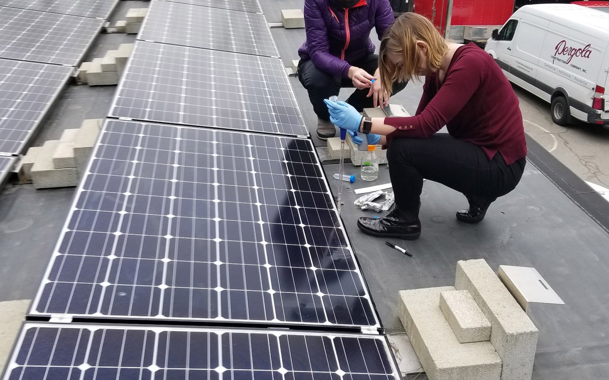 Researchers getting samples off solar panels.