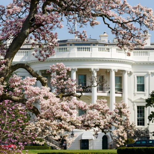 White House in the spring.