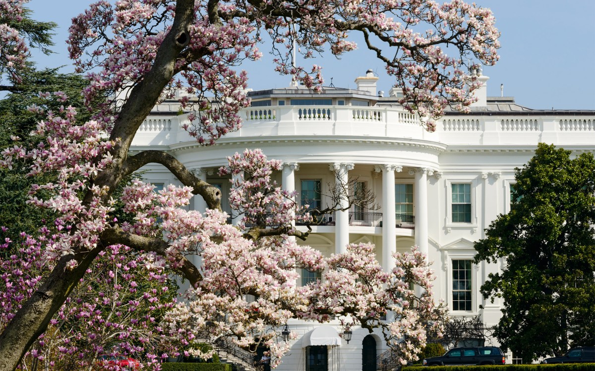 White House in the spring.