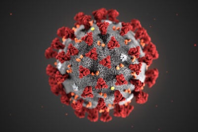 Coronavirus magnified.