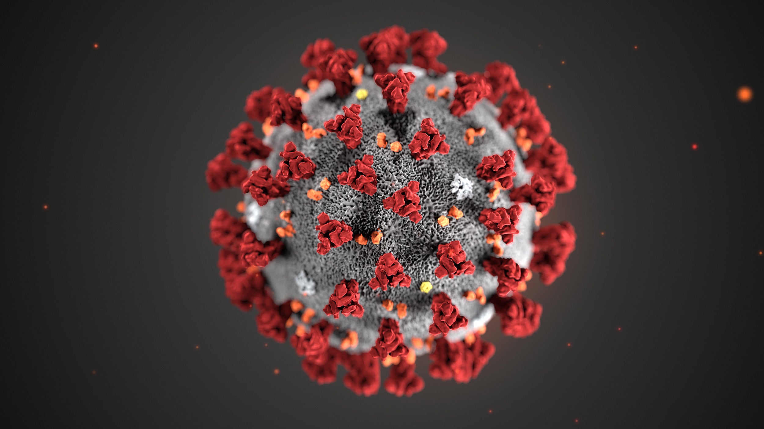 Coronavirus magnified.