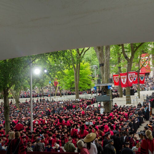Commencement crowd in Harvard Yard 2019.