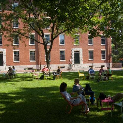 Harvard Yard with people sitting in chairs.