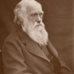 Photograph of Charles Darwin taken around 1874 by Leonard Darwin.