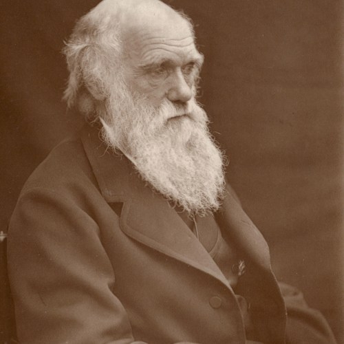Photograph of Charles Darwin taken around 1874 by Leonard Darwin.