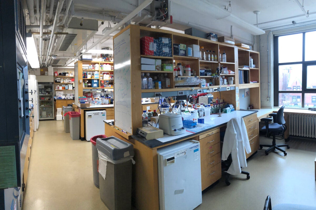 Empty lab.