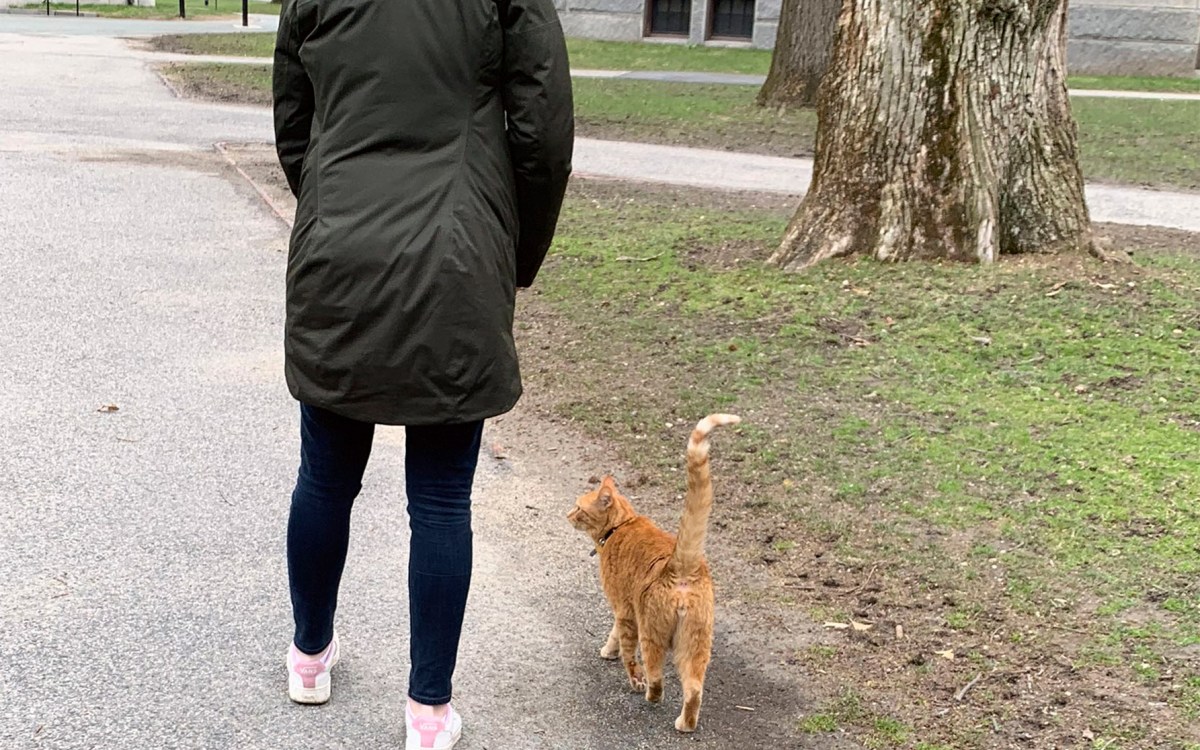 Student walking with Remy the cat.
