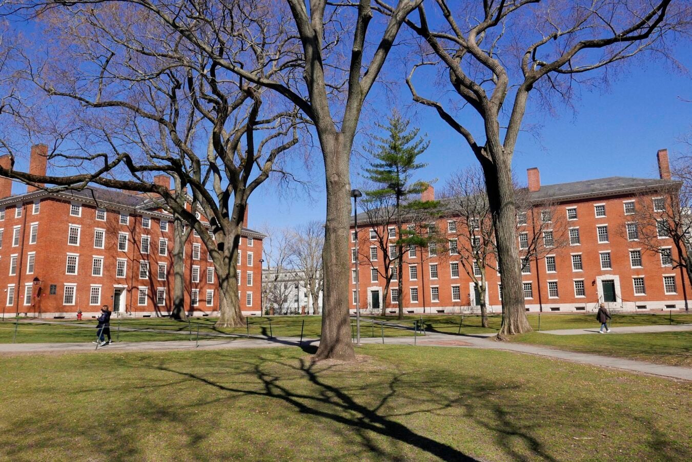 Harvard Yard is pictured.