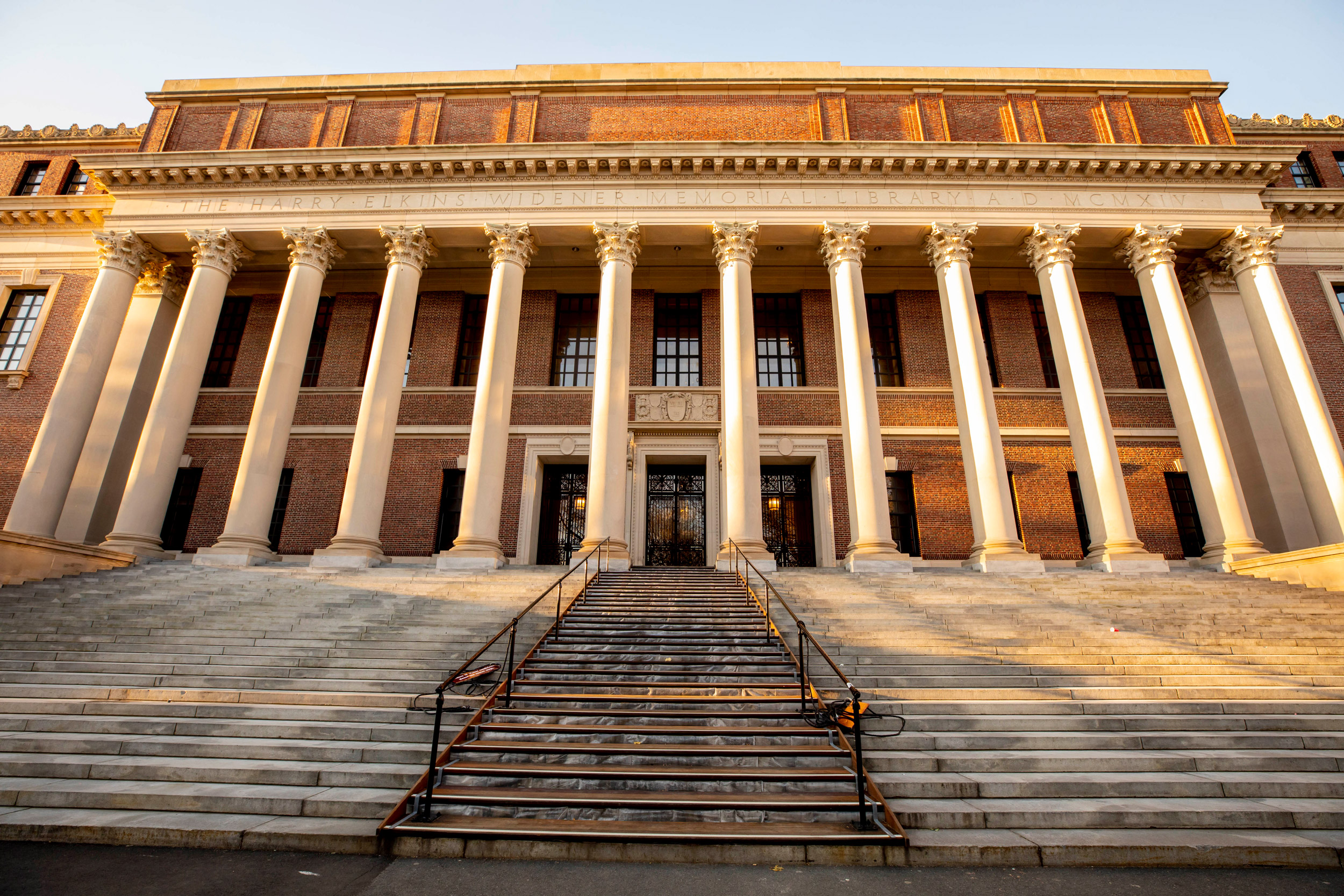 widener library dissertation