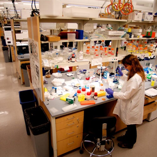 Woman working in lab.