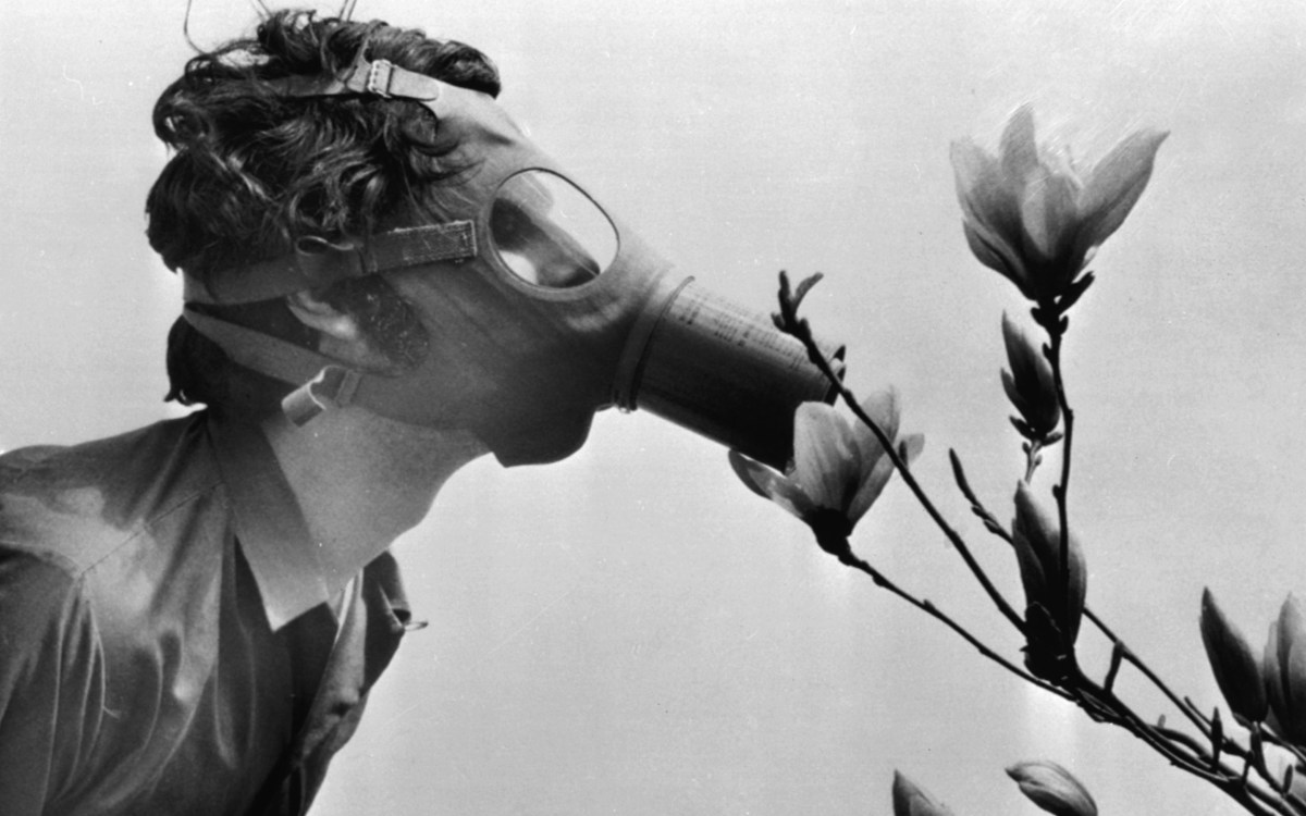 Student in gas mask "smalls" a flower in New York on the first Earth Day.