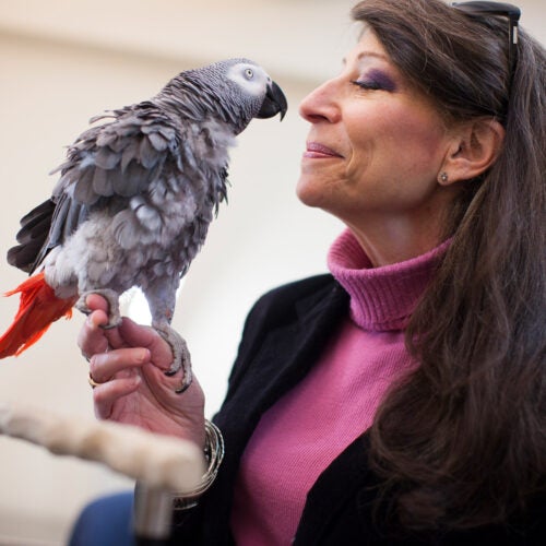 Irene Pepperberg with her parrot.