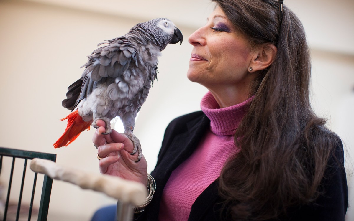 Irene Pepperberg with her parrot.