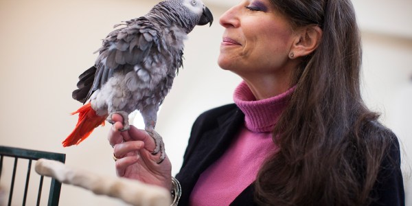 Irene Pepperberg with her parrot.