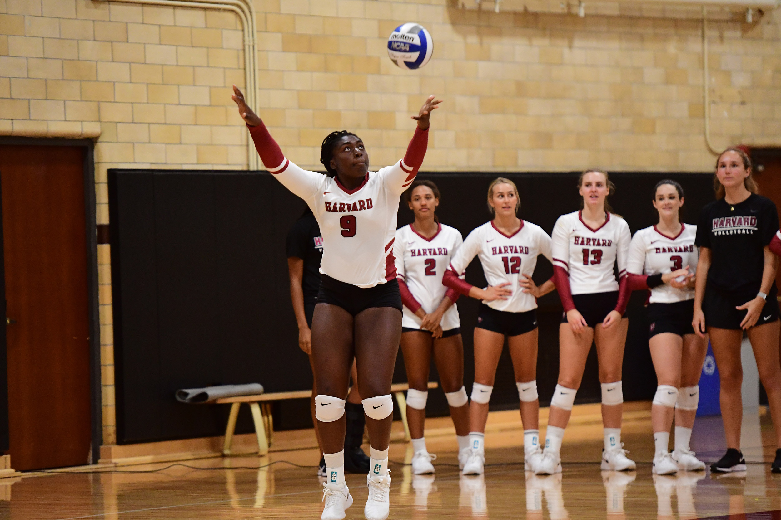 First-ever study of the culture of Harvard Athletics — Harvard Gazette