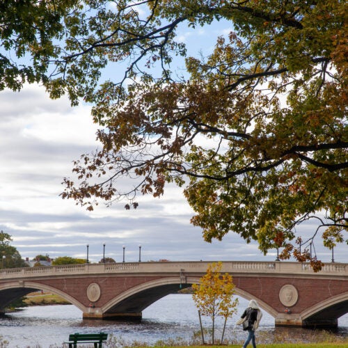 Weeks Bridge to Harvard campus