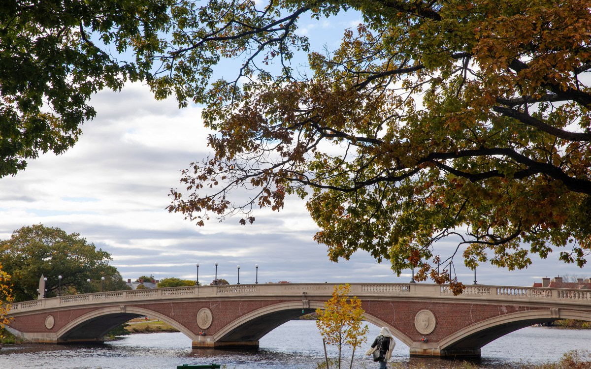 Weeks Bridge to Harvard campus