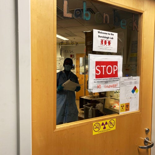 Researcher viewed through lab door posted with safety signs.