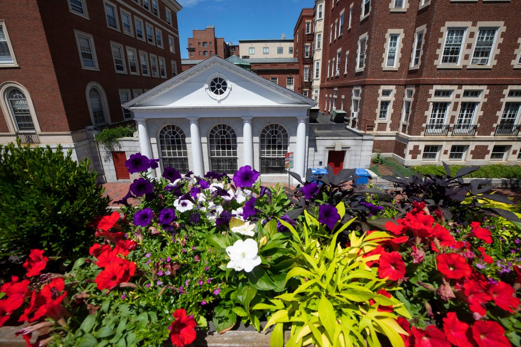 Capturing the four seasons across the Harvard campus Harvard Gazette