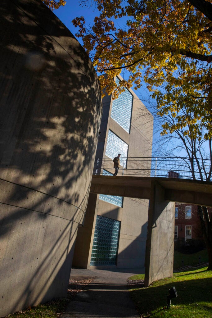 The Carpenter Center ramp offers a scenic passageway for a student crossing beneath the fall foliage.