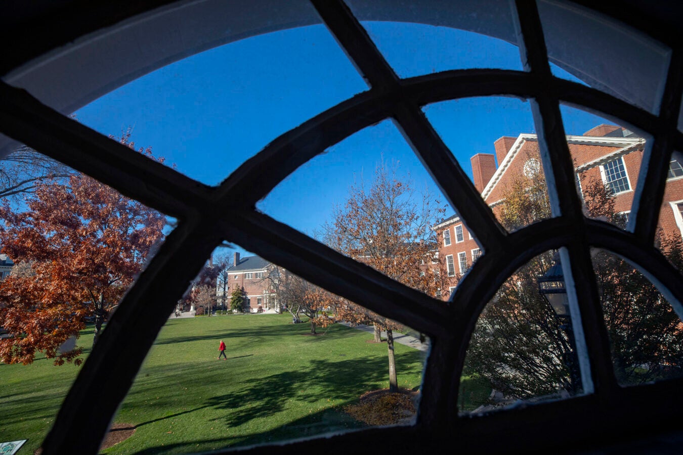Framed by a Longfellow Hall window, autumn light strikes Byerly hall as a pedestrian passes through Radcliffe Yard.