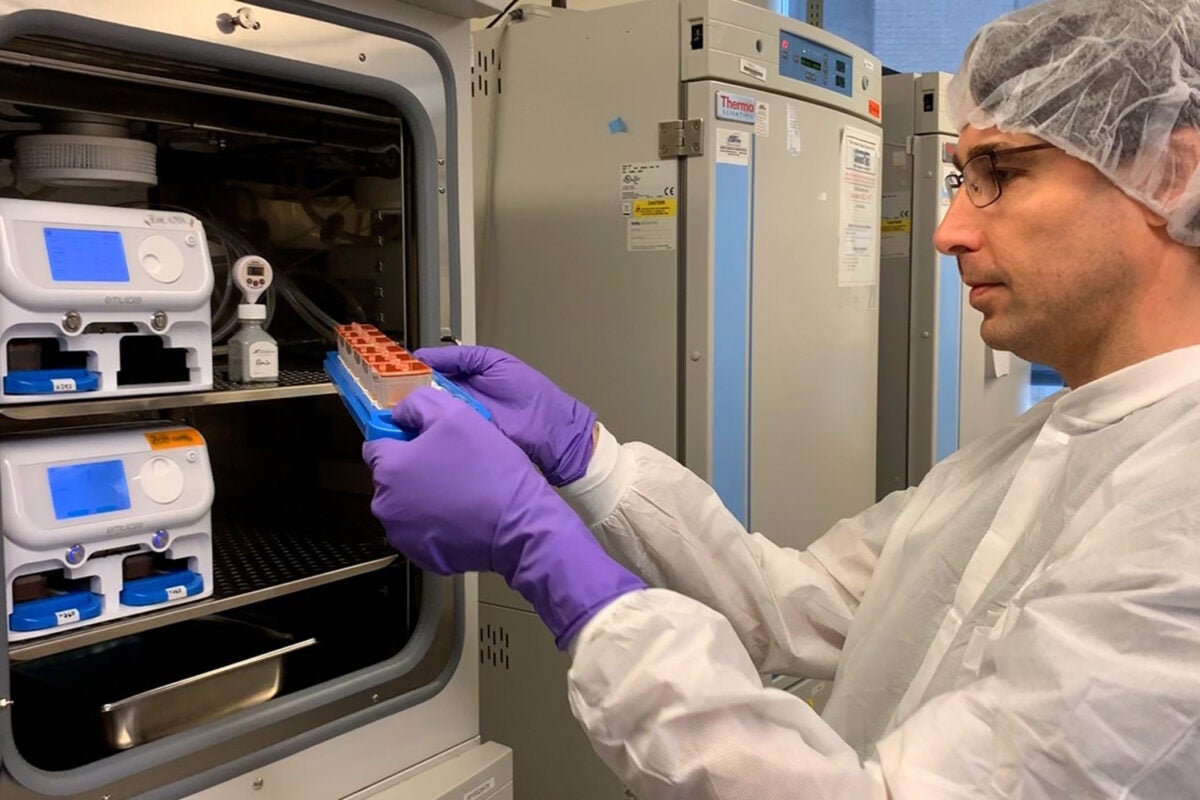 Amir Bein checks a batch of human organ chips in the lab.