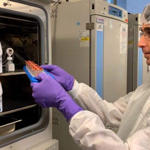 Amir Bein checks a batch of human organ chips in the lab.