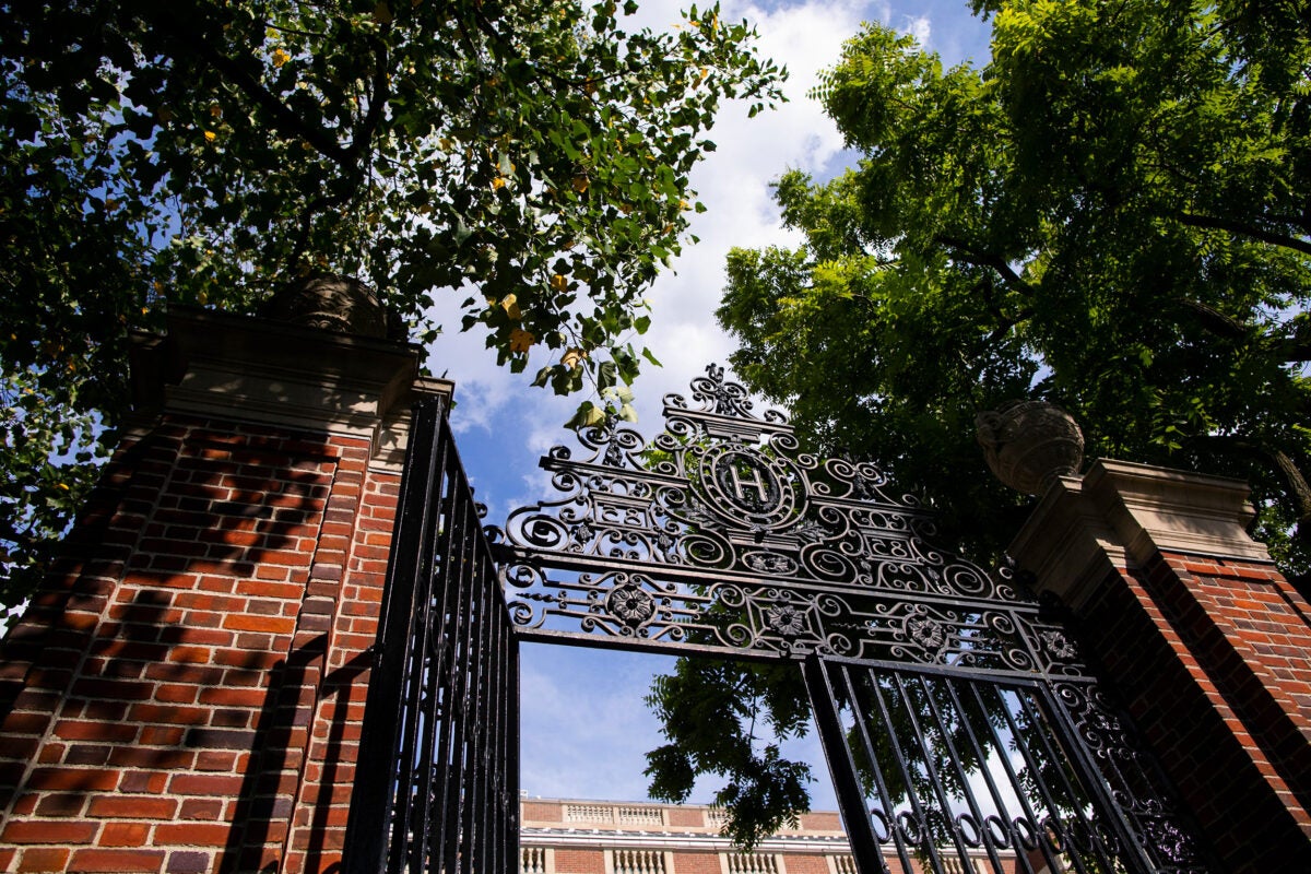 A gate is pictured with a decorative H design in Harvard Yard at Harvard.